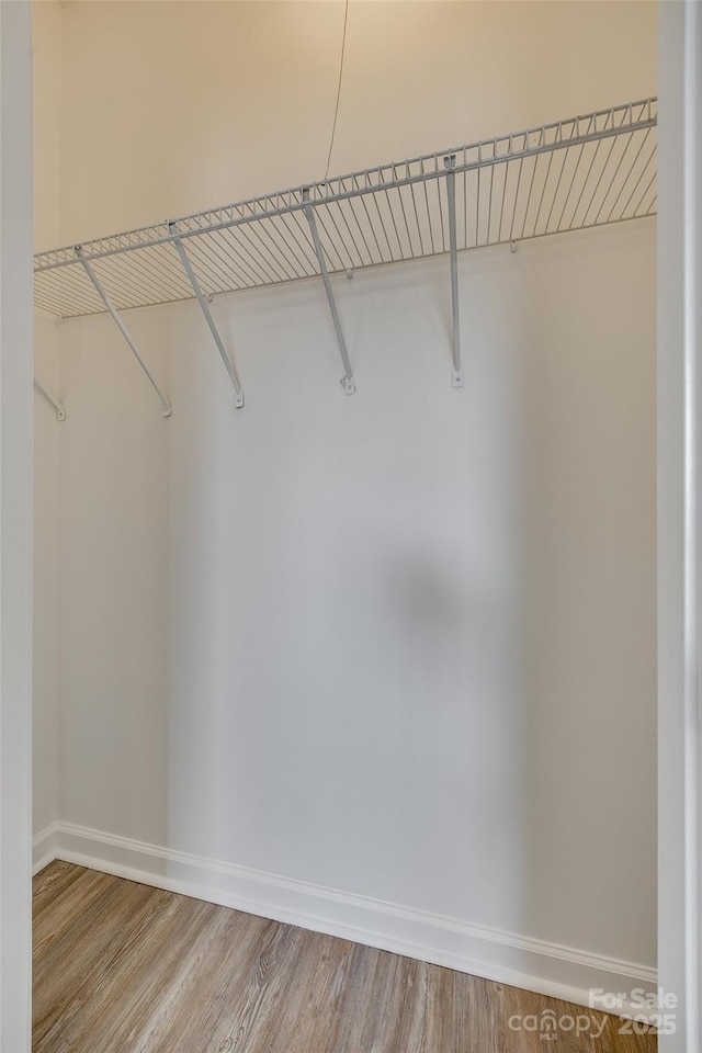 spacious closet with wood-type flooring