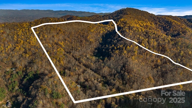 340 Wendy Ave, Marshall, NC 28753 - photo 3