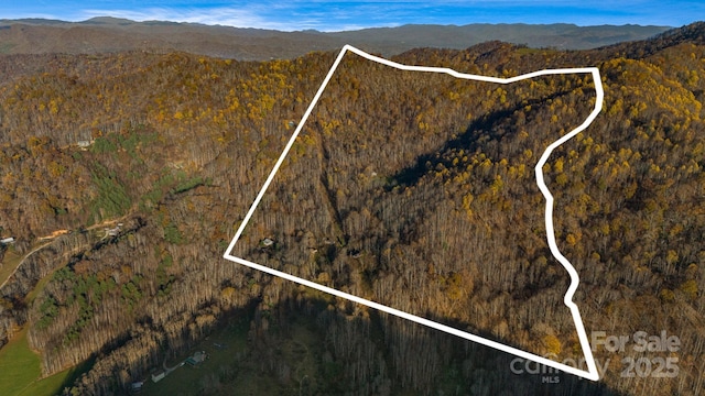 340 Wendy Ave, Marshall, NC 28753 - photo 4