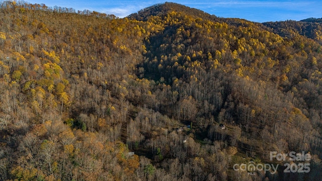 340 Wendy Ave, Marshall, NC 28753 - photo 44