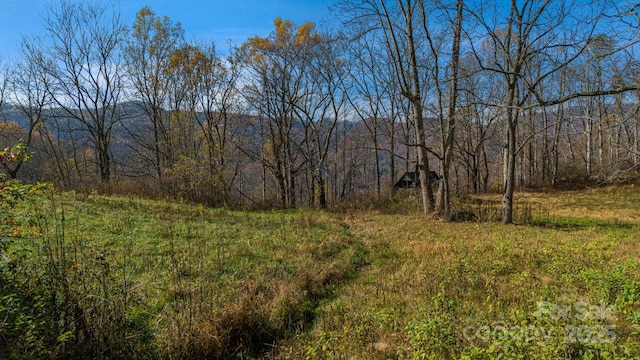 340 Wendy Ave, Marshall, NC 28753 - photo 45