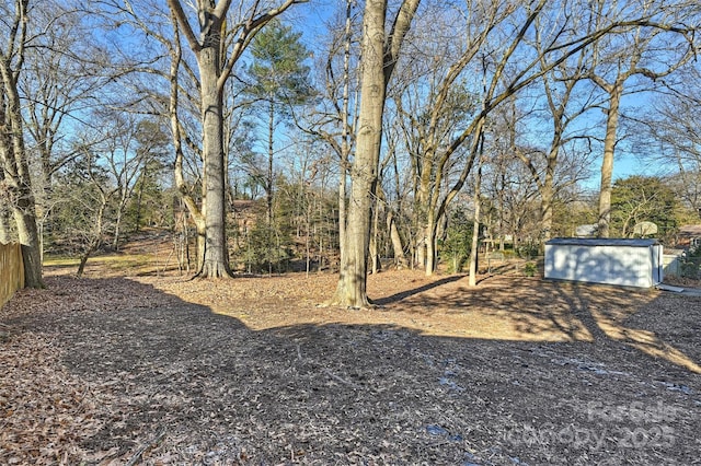 view of yard with a garage and an outdoor structure