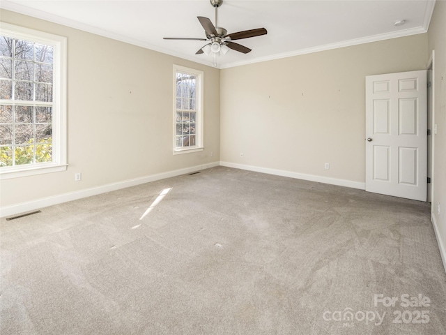 carpeted empty room featuring ceiling fan and ornamental molding