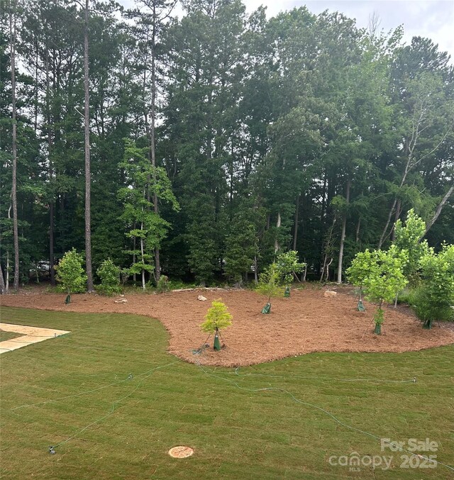 15310 Ballancroft Pkwy Unit 20, Charlotte, NC 28277 - view of grassy yard