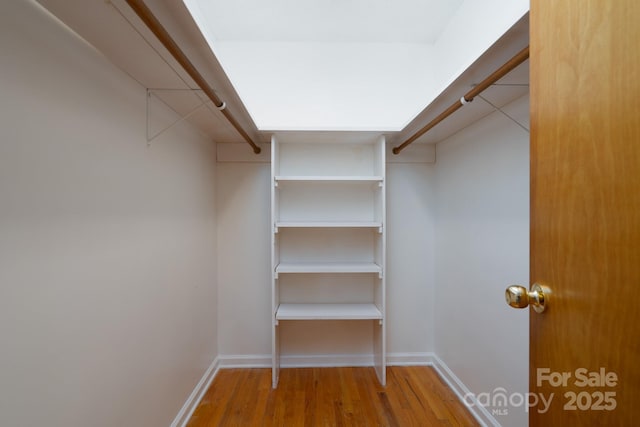 spacious closet with hardwood / wood-style flooring