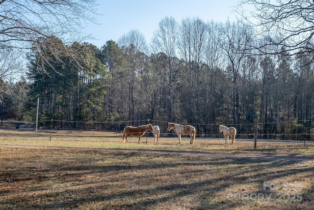 view of yard featuring a rural view