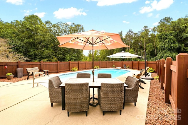 view of swimming pool featuring a patio area