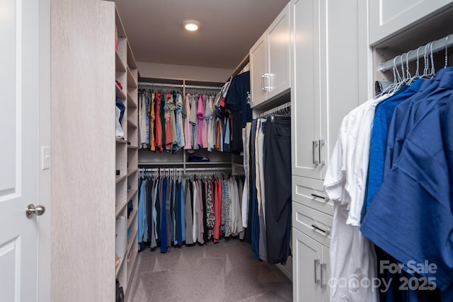 spacious closet with dark carpet