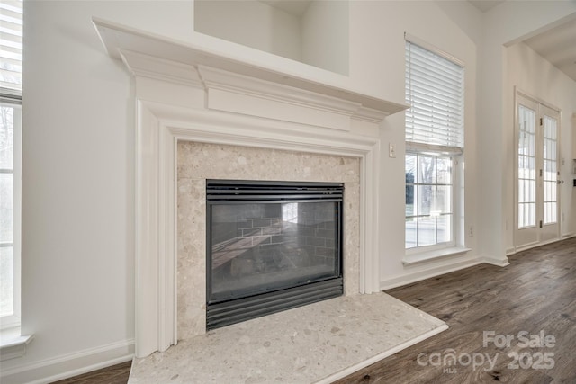 details featuring wood-type flooring and a fireplace