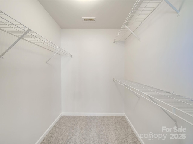 spacious closet with carpet flooring