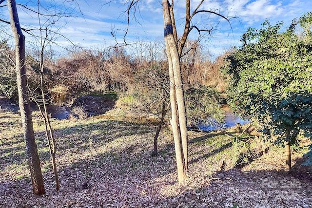 view of yard featuring a water view