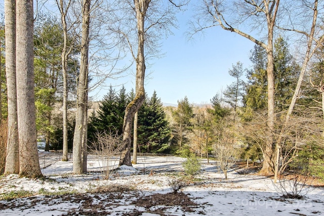 view of snowy landscape