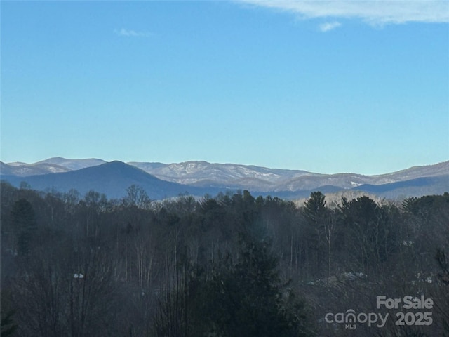 view of mountain feature