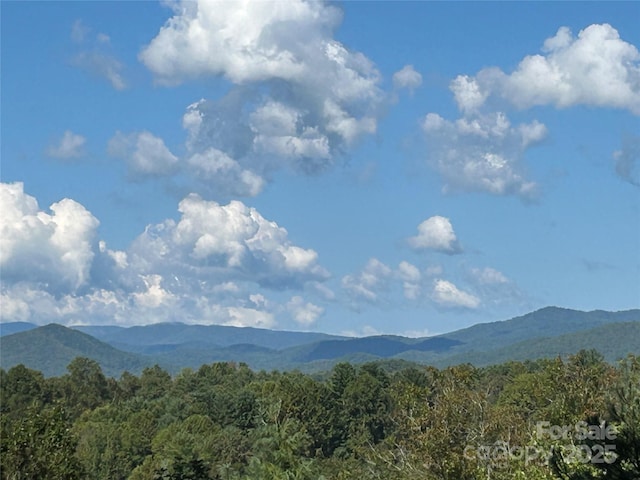 view of mountain feature