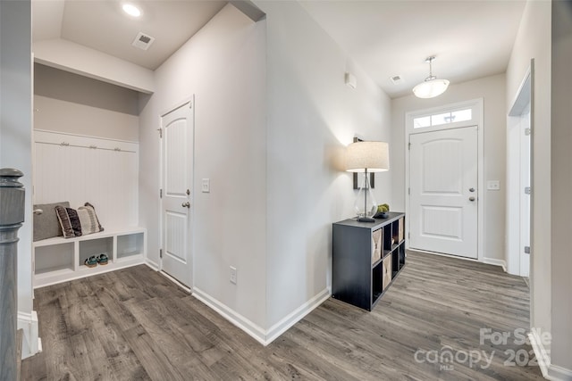 foyer with dark wood-type flooring