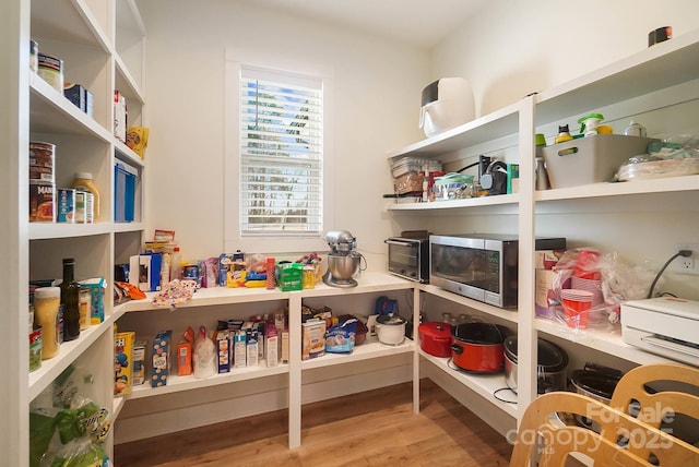 view of pantry