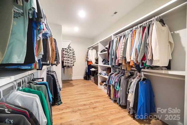 walk in closet with light hardwood / wood-style flooring