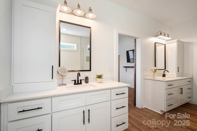 bathroom with vanity and wood-type flooring