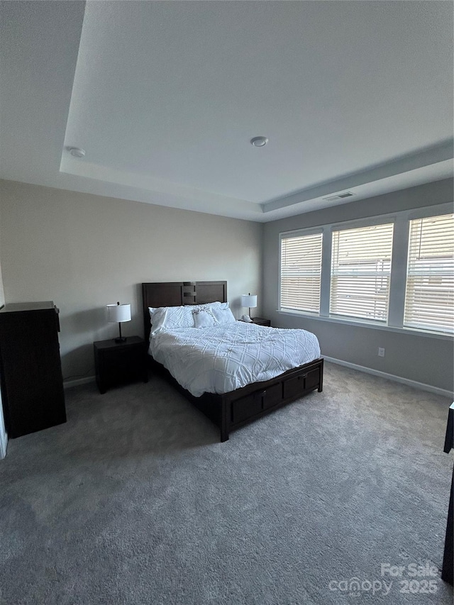 unfurnished bedroom featuring carpet flooring and a raised ceiling