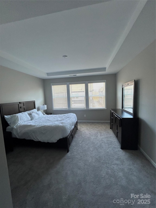 carpeted bedroom featuring a tray ceiling