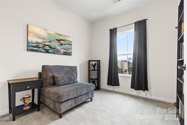 sitting room with carpet