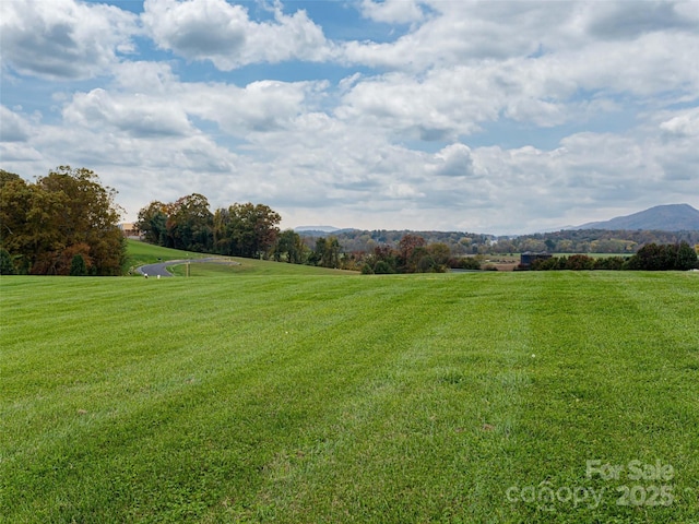 view of yard featuring a rural view and a mountain view