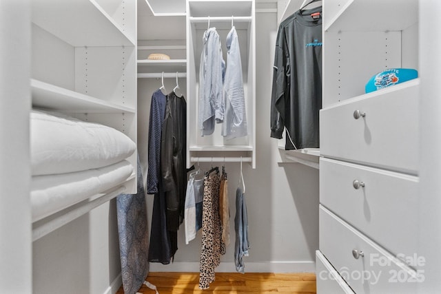 spacious closet featuring hardwood / wood-style floors