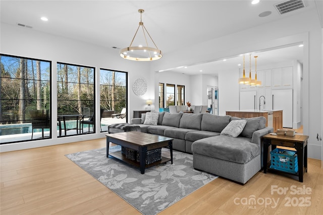 living room featuring a wealth of natural light, light hardwood / wood-style flooring, and sink