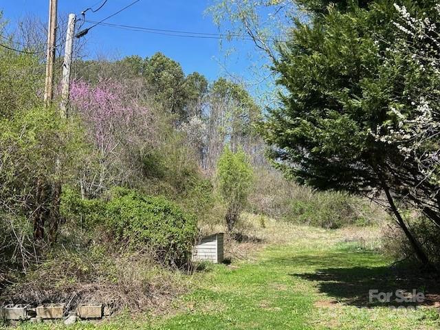 14 Dry Leaf Rd, Alexander, NC 28701 - photo 5