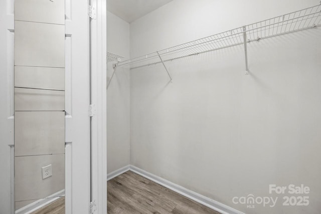 spacious closet featuring wood-type flooring