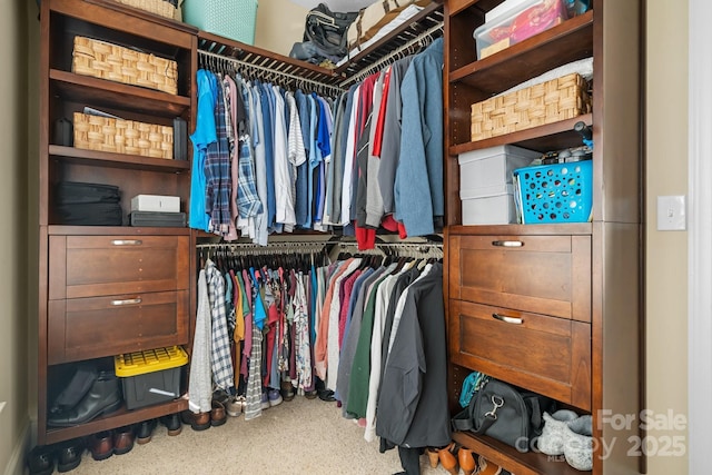 view of walk in closet