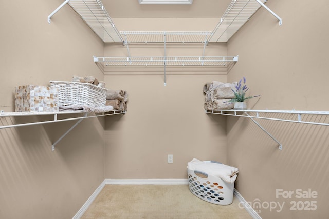 spacious closet with carpet