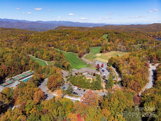 birds eye view of property with a mountain view