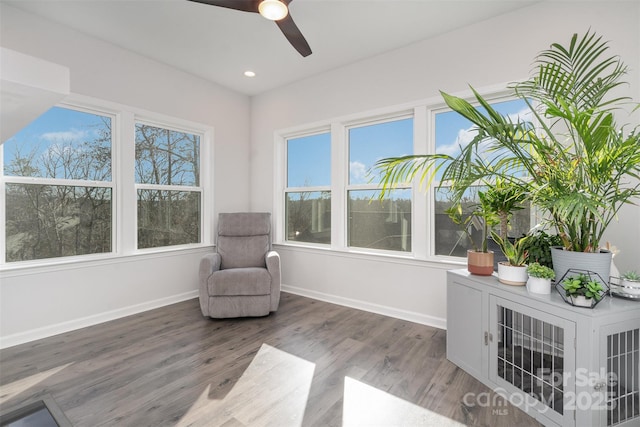 living area featuring ceiling fan and wood-type flooring