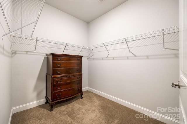 spacious closet with carpet floors