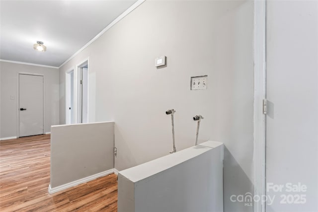 hallway featuring wood-type flooring and crown molding