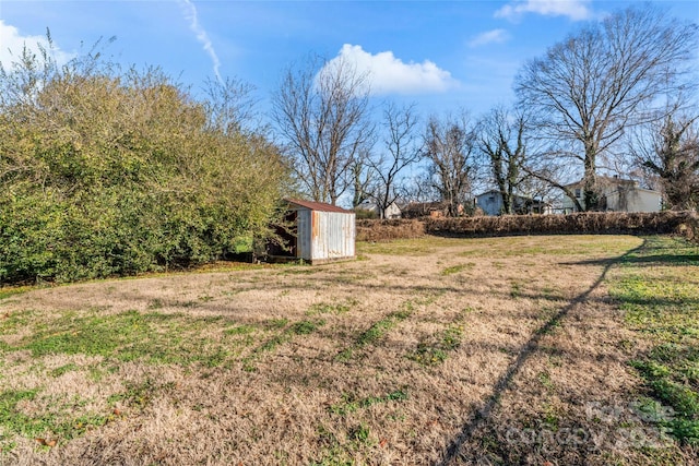 view of yard with a storage shed