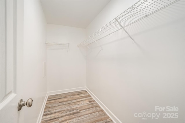 spacious closet with hardwood / wood-style flooring