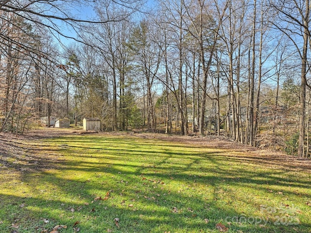 view of yard with a shed