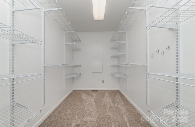 spacious closet with carpet flooring