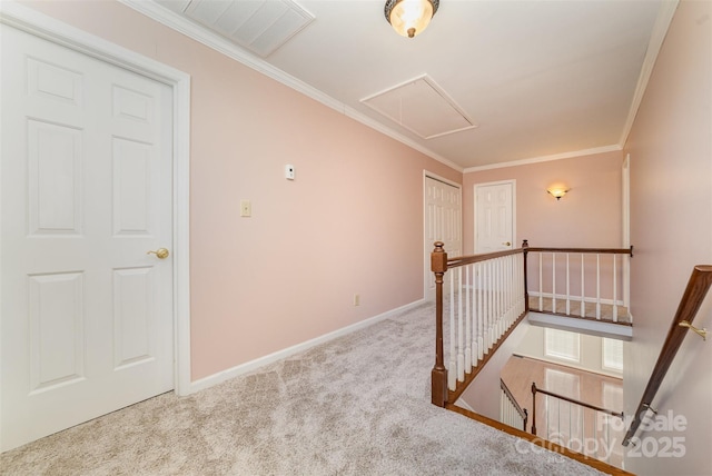 staircase featuring crown molding and carpet flooring