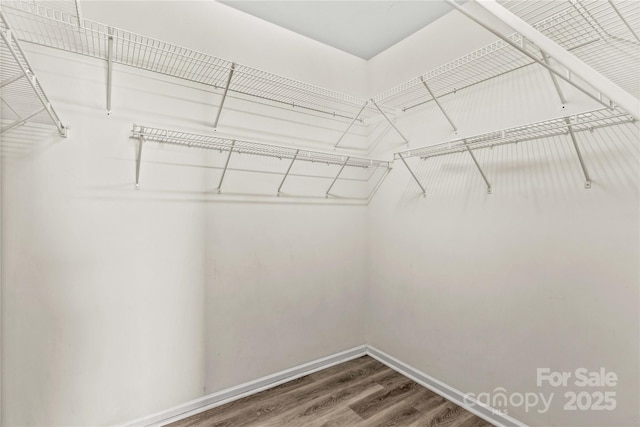 spacious closet featuring hardwood / wood-style flooring