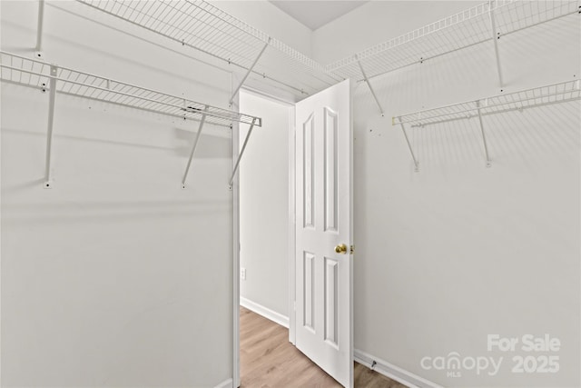 walk in closet with hardwood / wood-style floors