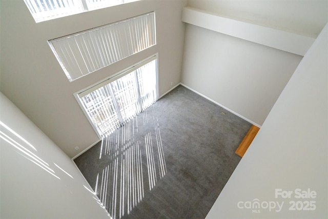 interior space featuring carpet floors