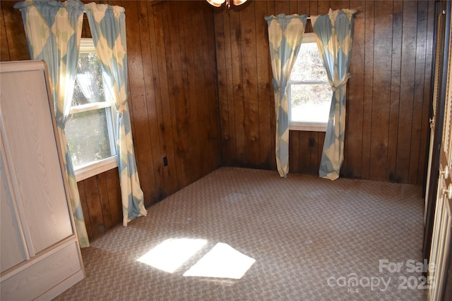 carpeted spare room with a wealth of natural light and wood walls