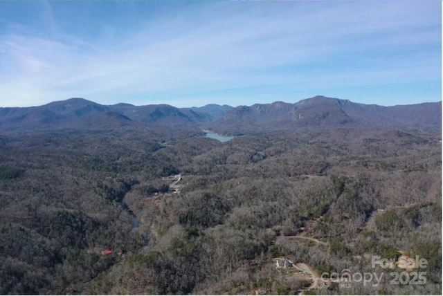 Listing photo 3 for 638 Rock Ledge Dr, Lake Lure NC 28746