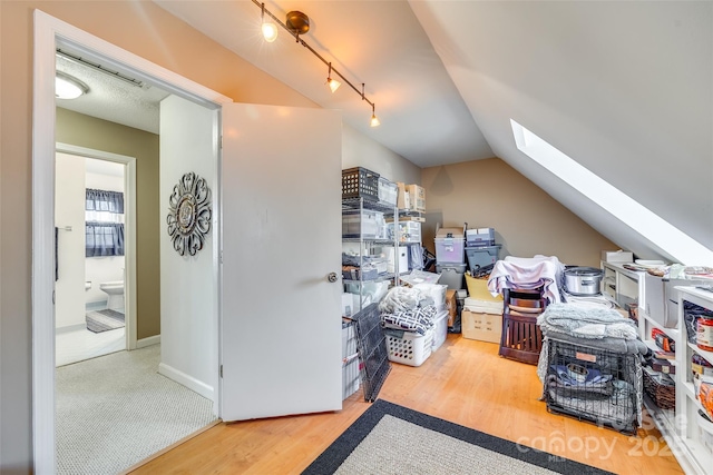 bonus room featuring wood-type flooring and lofted ceiling with skylight