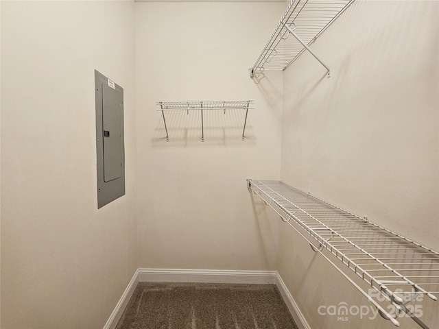 walk in closet featuring electric panel and carpet floors