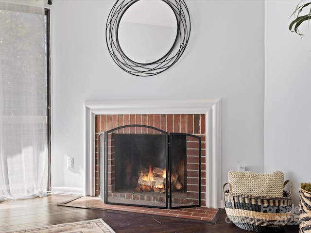 details with wood-type flooring and a fireplace