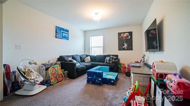 playroom with carpet floors